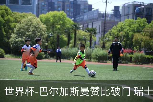 世界杯-巴尔加斯曼赞比破门 瑞士2-1加拿大小组第一