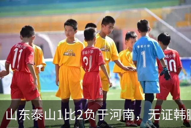 山东泰山1比2负于河南，无证韩鹏的水平比泰山中卫还低