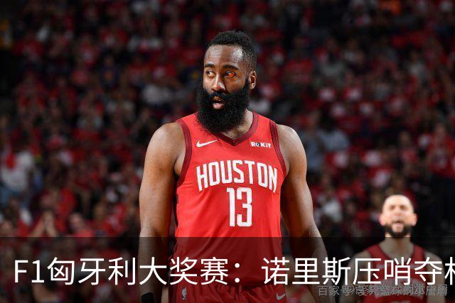 F1匈牙利大奖赛：诺里斯压哨夺杆